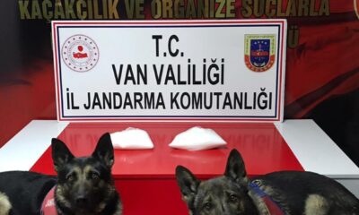 Van’da 2 kilo metamfetamin ele geçirildi
