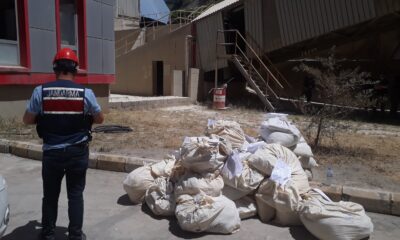 Van’da 4,5 ton uyuşturucu bin derecelik fırınlarda imha edildi