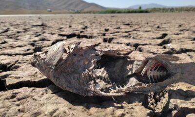Van’daki göletlerde su sevisi kritik noktanın altına düştü
