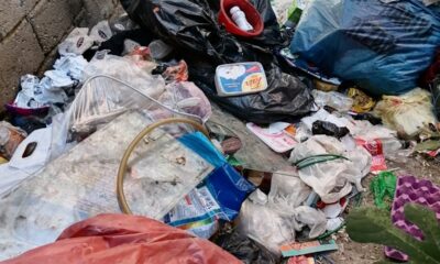 Vatandaşlar şikayet etti, Bağlar Belediyesi çöp evi temizledi