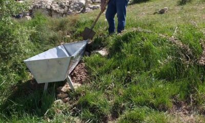 Yaban hayvanları için doğaya su tekneleri bırakıldı