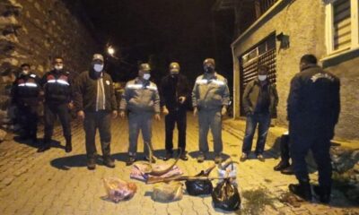 Yaban keçisi avlayanlara 120 bin lira ceza