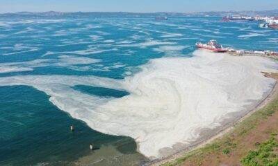 Yalova kıyılarında müsilaj görülmeye devam ediyor