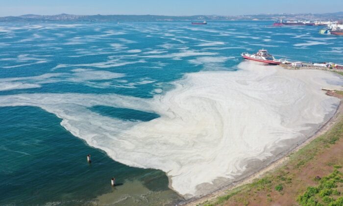 Yalova kıyılarında müsilaj görülmeye devam ediyor