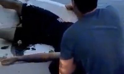 Yalova’da dereye düşen şahıs son ânda kurtarıldı