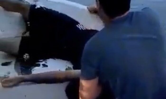 Yalova’da dereye düşen şahıs son ânda kurtarıldı