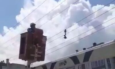 Yalova’da karga kurtarma operasyonu