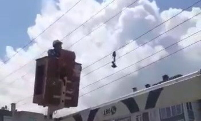 Yalova’da karga kurtarma operasyonu