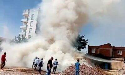 Yanan odunları itfaiye ekipleri söndürdü