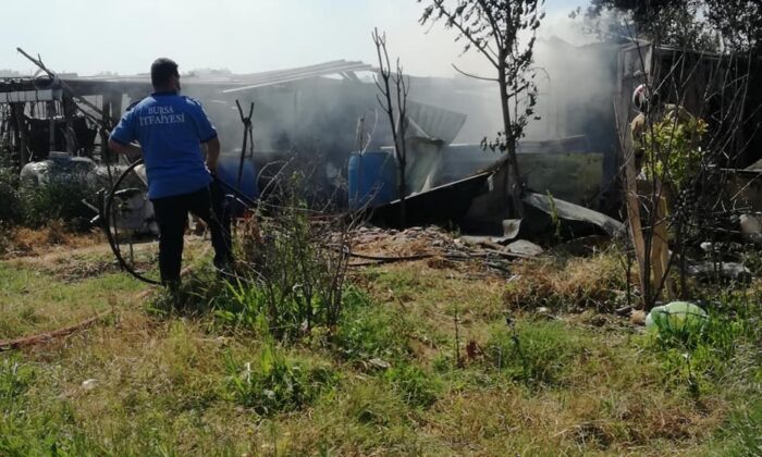 Yangın hayvanları telef etti