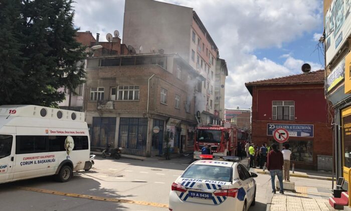 Yangında mahsur kalan kedileri itfaiye kurtardı