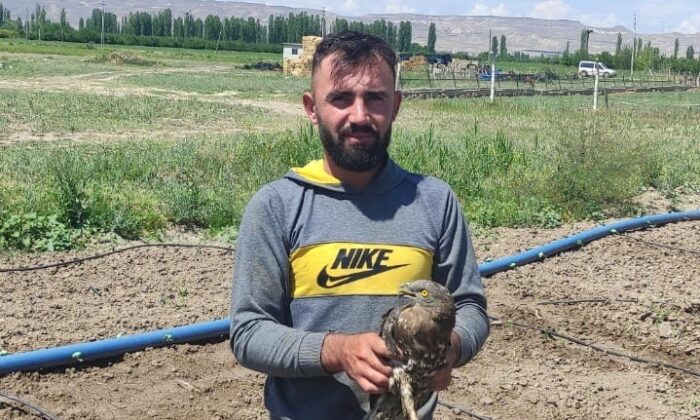 Yaralı Arı Şahin tedavi altına alındı