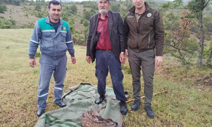 Yaralı bulduğu geyik yavrusunu sırtında 5 kilometre taşıdı