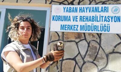 Yaralı kuşlar tedavi altına alındı