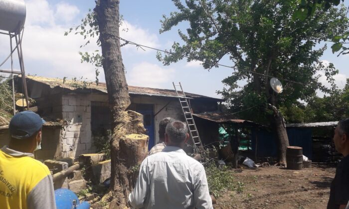 Yarım asırlık dut ağacı fırtınada evin üzerine devrildi