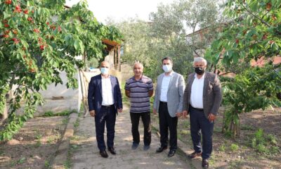 Yarımca Kirazının değerinin artması için adımlar atılıyor