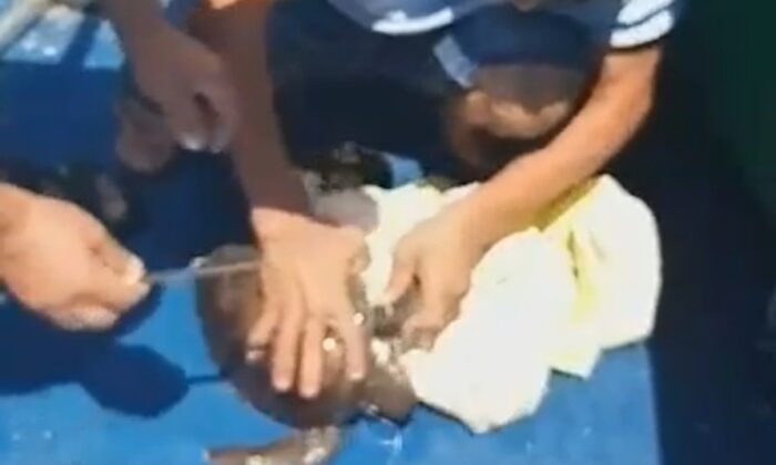 Yavru kaplumbağayı deniz temizlik ekipleri kurtardı