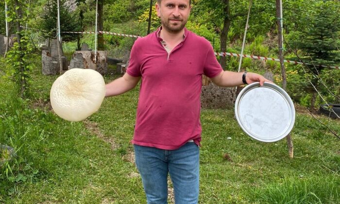 Yaylada mantar bereketi