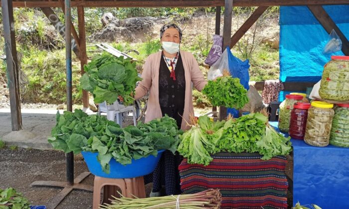 Yaylada yöresel organik pazar açıldı