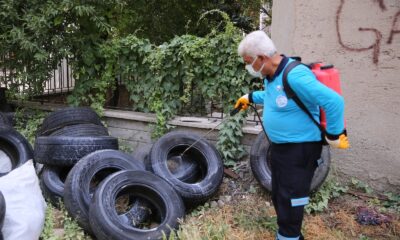 Yaz aylarının gelmesiyle ilaçlama seferberliği başlatıldı