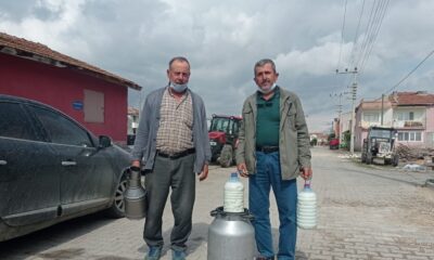 Yem fiyatlarındaki artış süt üreticilerini endişelendiriyor