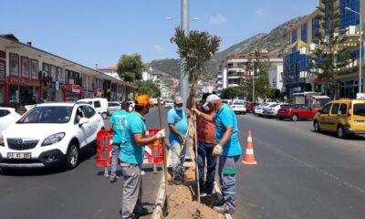 Yeni Prestij Caddesi’ne Zakkum ekildi