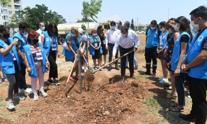 Yenişehir, jakaranda koruluğuyla renklenecek