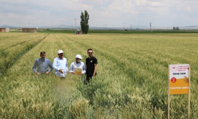 ‘Yerli ve milli tohumların ulaşmadığı çiftçi kalmasın’