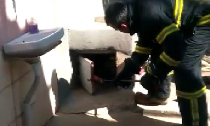 Yılan, kaçacak yer bulamayınca itfaiye erinin üzerine atladı