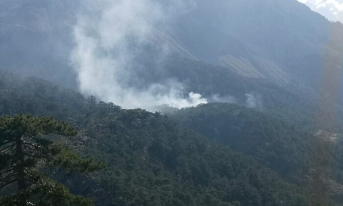 Yıldırım düşmesi sonucu orman yangını çıktı