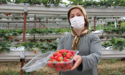 Yılın mikro girişimcisi Sinoplu Alime