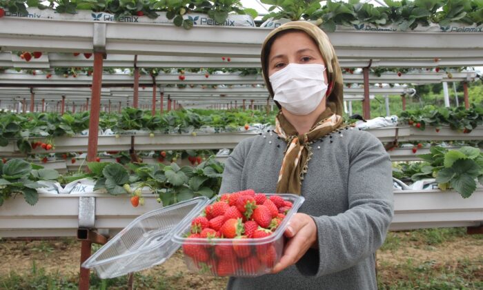 Yılın mikro girişimcisi Sinoplu Alime