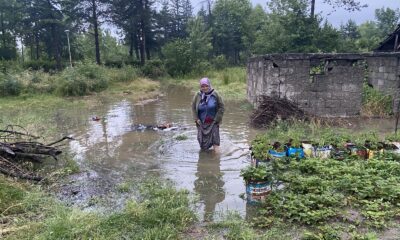 Yoğun yağmurda dereler taşınca tarım arazilerini su altında kaldı
