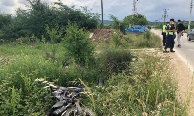 Yola aniden fırlayan köpek trafik kazasına sebep oldu