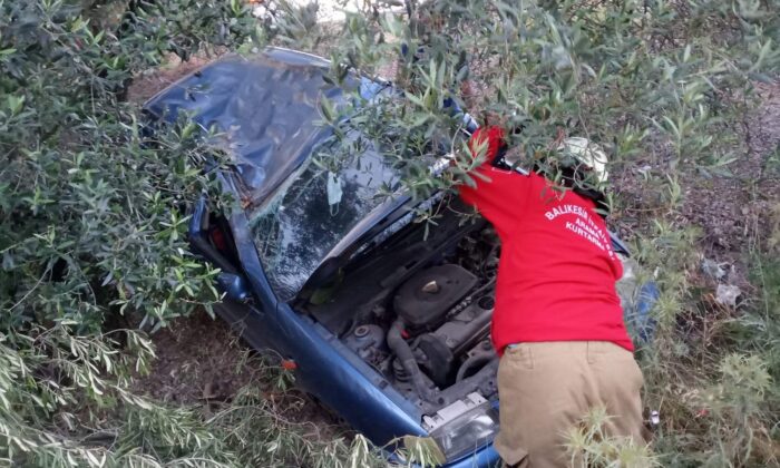 Yoldan çıkan otomobil zeytin bahçesine girdi