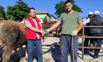 Yozgat’ta kurbanlıklar görücüye çıktı