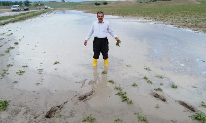 Yozgat’ta sel ekili tarım alanlarına zarar verdi