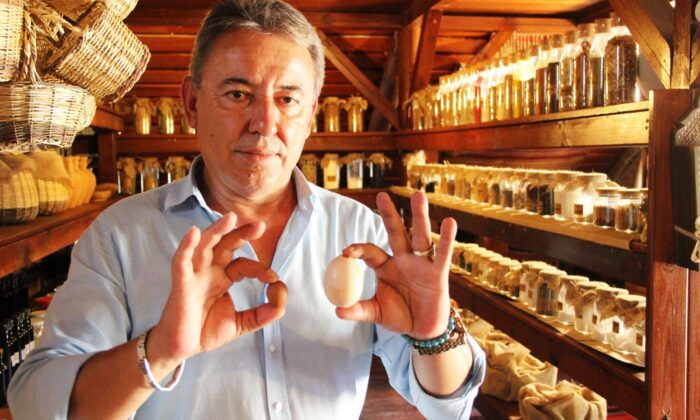 Yumurtlayan horoz şaşkına çevirdi