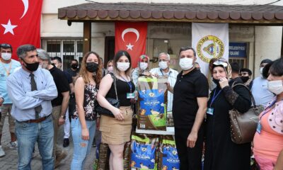 Yüreğir Belediyesinden can dostlara mama desteği