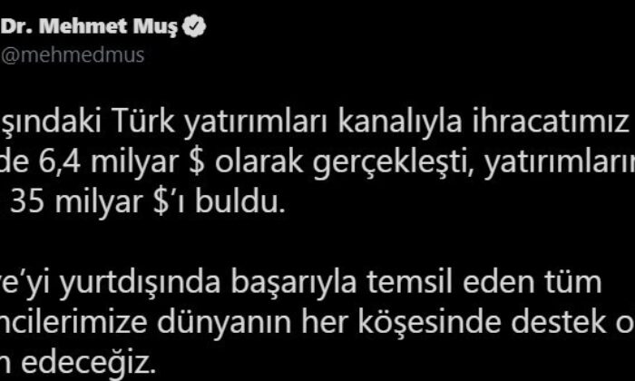 Yurt dışındaki Türk yatırımların cirosu 35 milyar dolara ulaştı