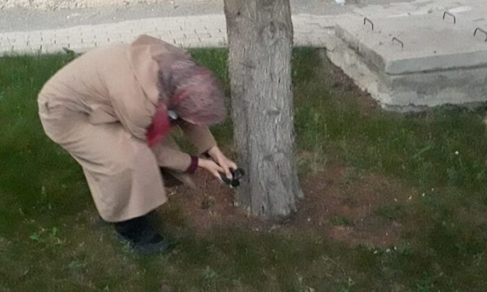 Yuvadan düşen minik saksağanlar için itfaiye seferber oldu