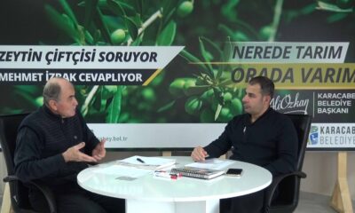 Zeytinde yaz takvimi, zeytin üreticilerine katkı sağlayacak