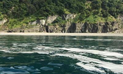 Zonguldak Valiliğinden denizde oluşan kirlilik ile ilgili açıklama