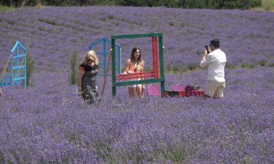 “1. Kırklareli Lavanta Günleri” başladı