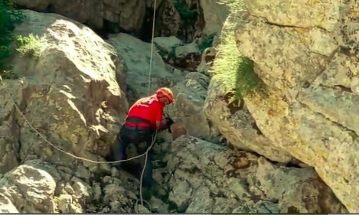 10 gündür kayıp olan keçiler için kurtarma operasyonu