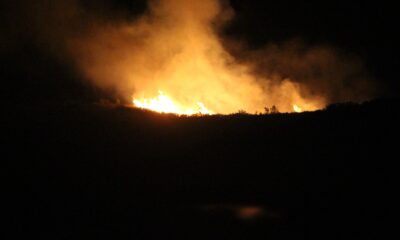 10 hektar makilik alan kül oldu