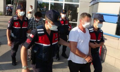 140 bin kök kenevir bitkisi ele geçirildi, 2 kişi tutuklandı