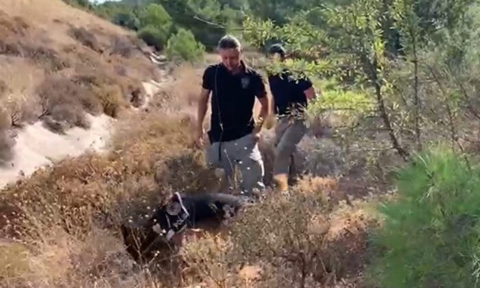 15 yıl sonra ortaya çıkan korkunç cinayet arsa yüzünden işlenmiş
