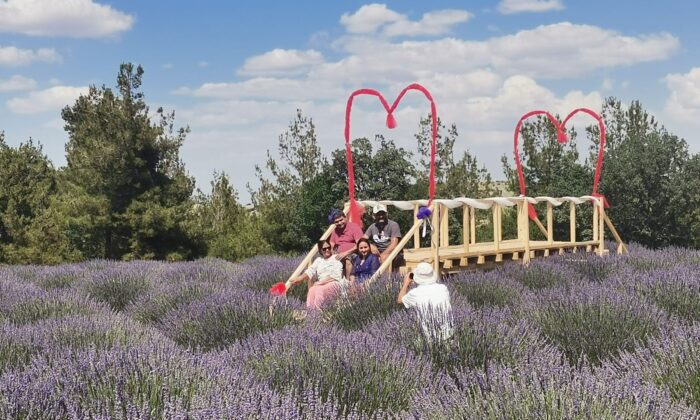 15 yıllık lavanta tarlasını turizme kazandırdı