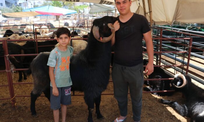 160 kilogramlık Honamlı Keçileri kurban pazarının gözdesi oldu